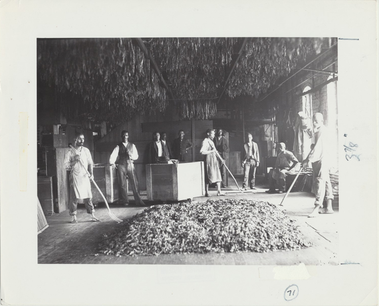 bpc983129.jpg