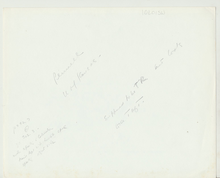 bpc983419a.jpg
