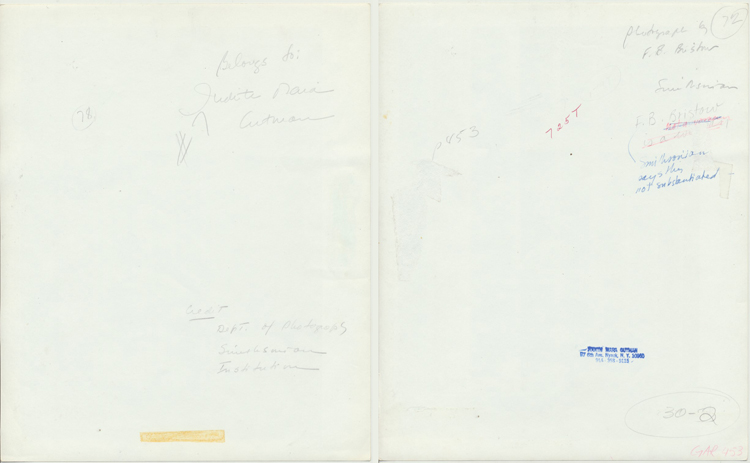 bpc983723a.jpg