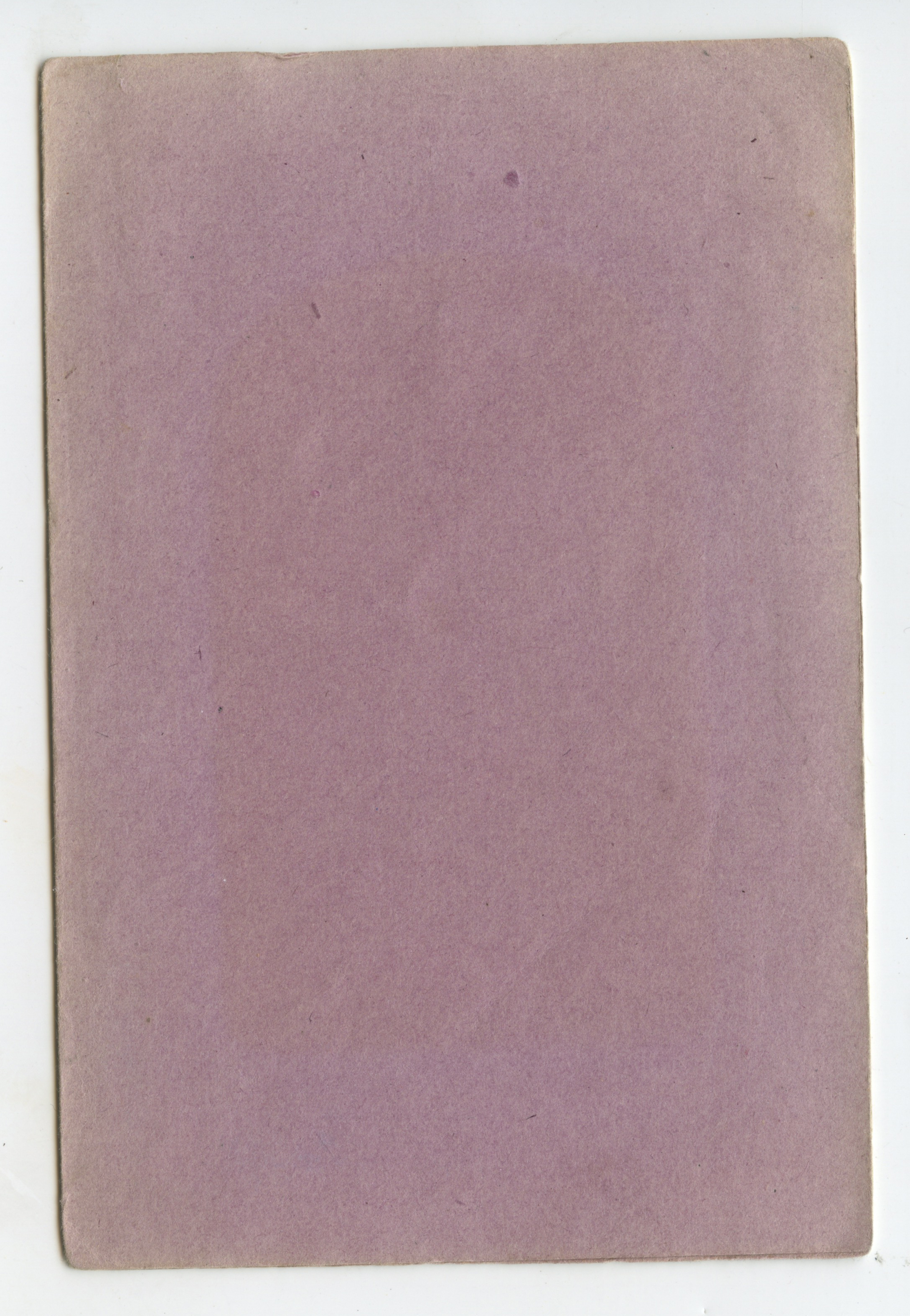 bji34583b.jpg