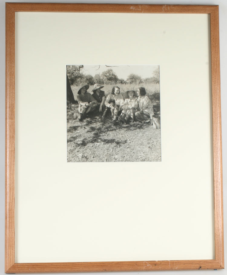 ins00162a.jpg