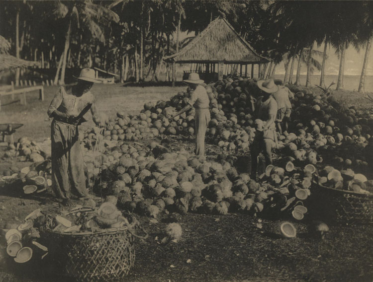 ins00175.jpg