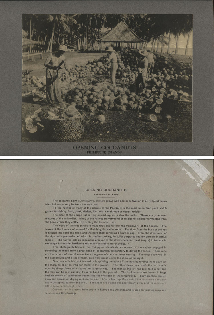 ins00175a.jpg