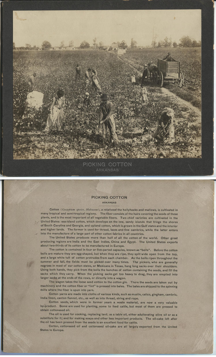 ins00178a.jpg