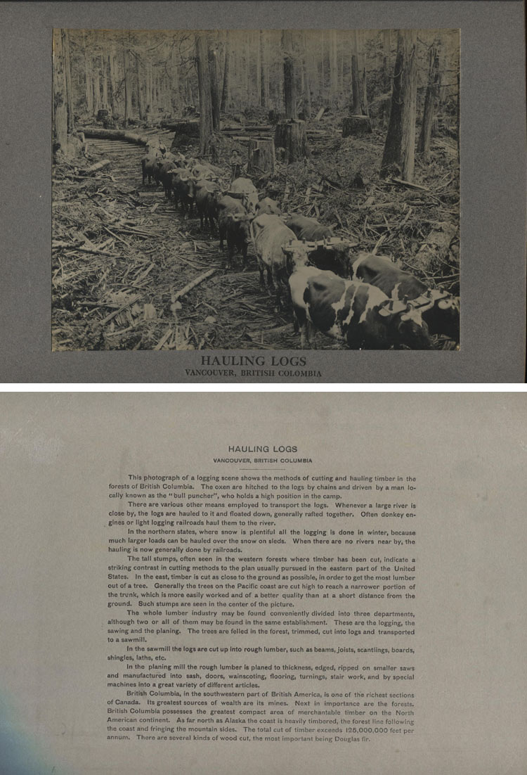 ins00179a.jpg