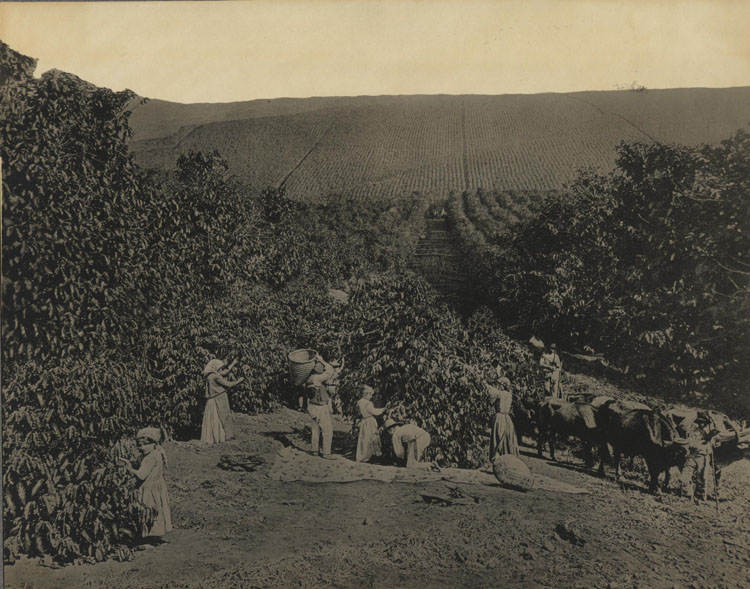 ins00181.jpg
