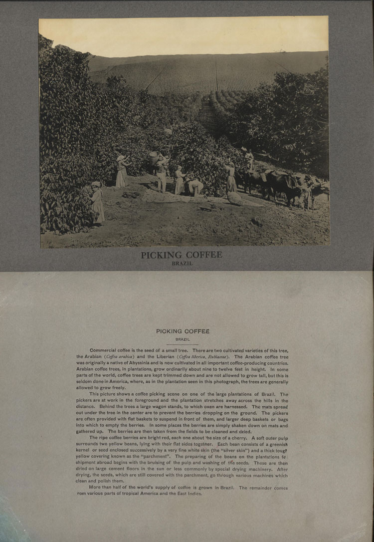 ins00181a.jpg