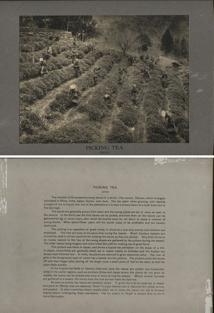 ins00183a.jpg