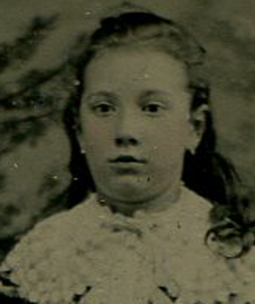 ins00380.jpg