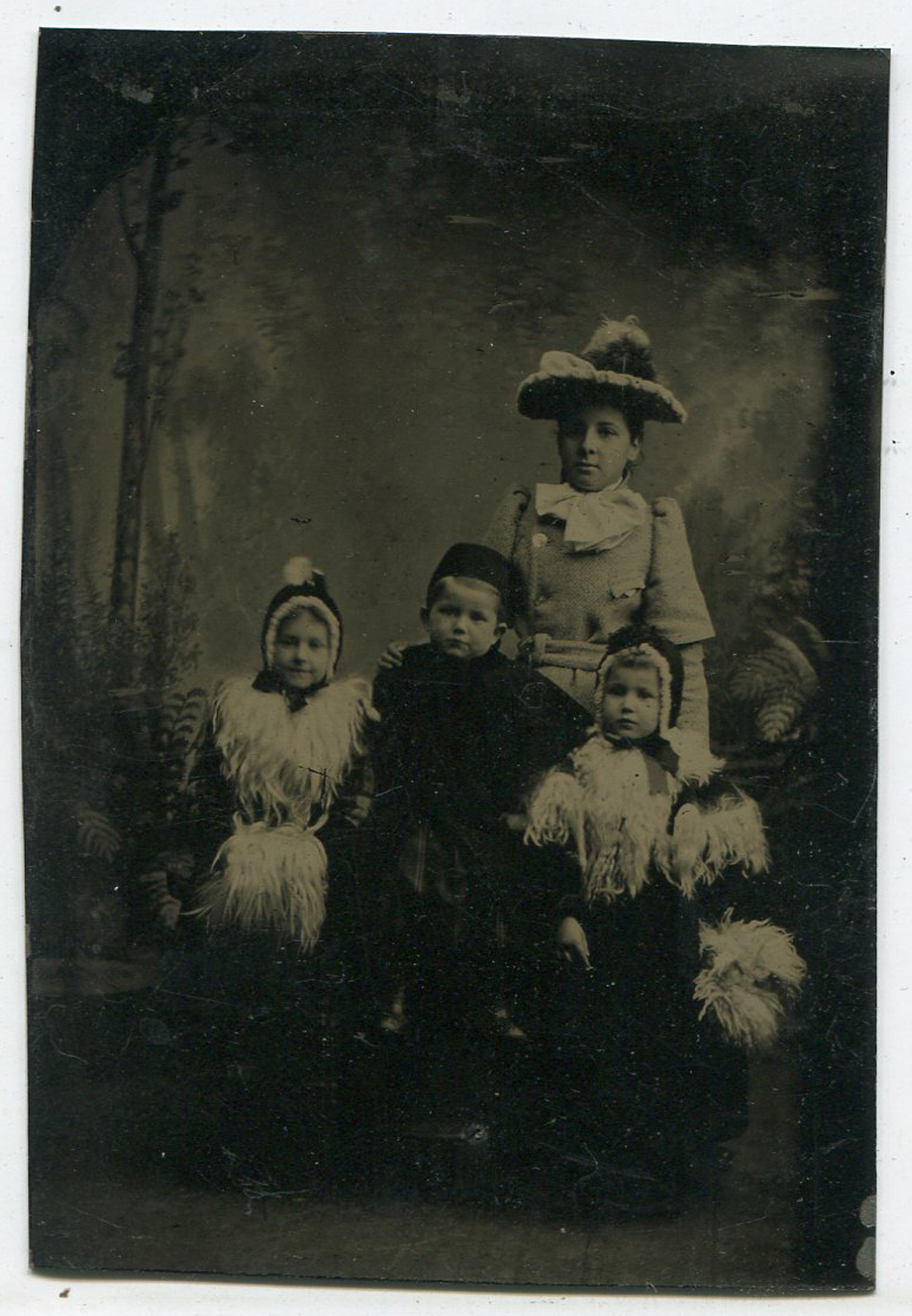 ins00465a.jpg