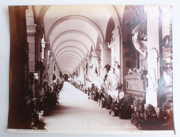 ins00758.jpg