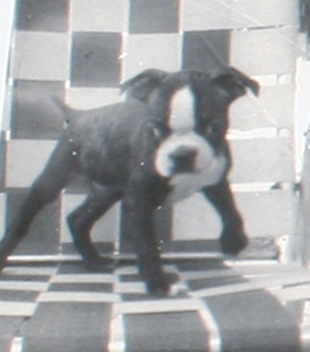 ins00914.jpg