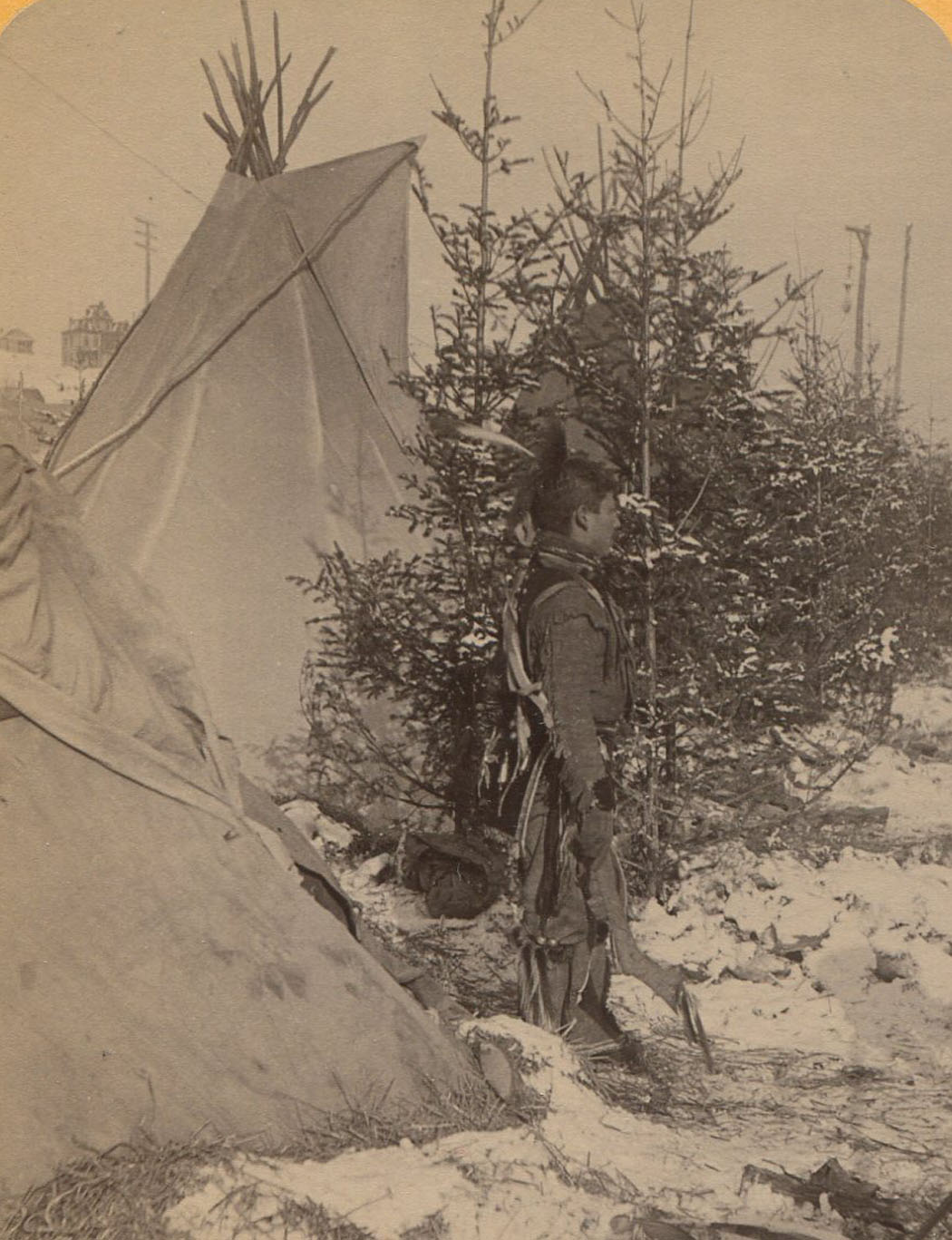 ins01239.jpg