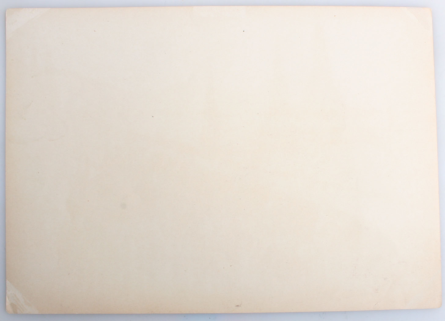 ins01270a.jpg
