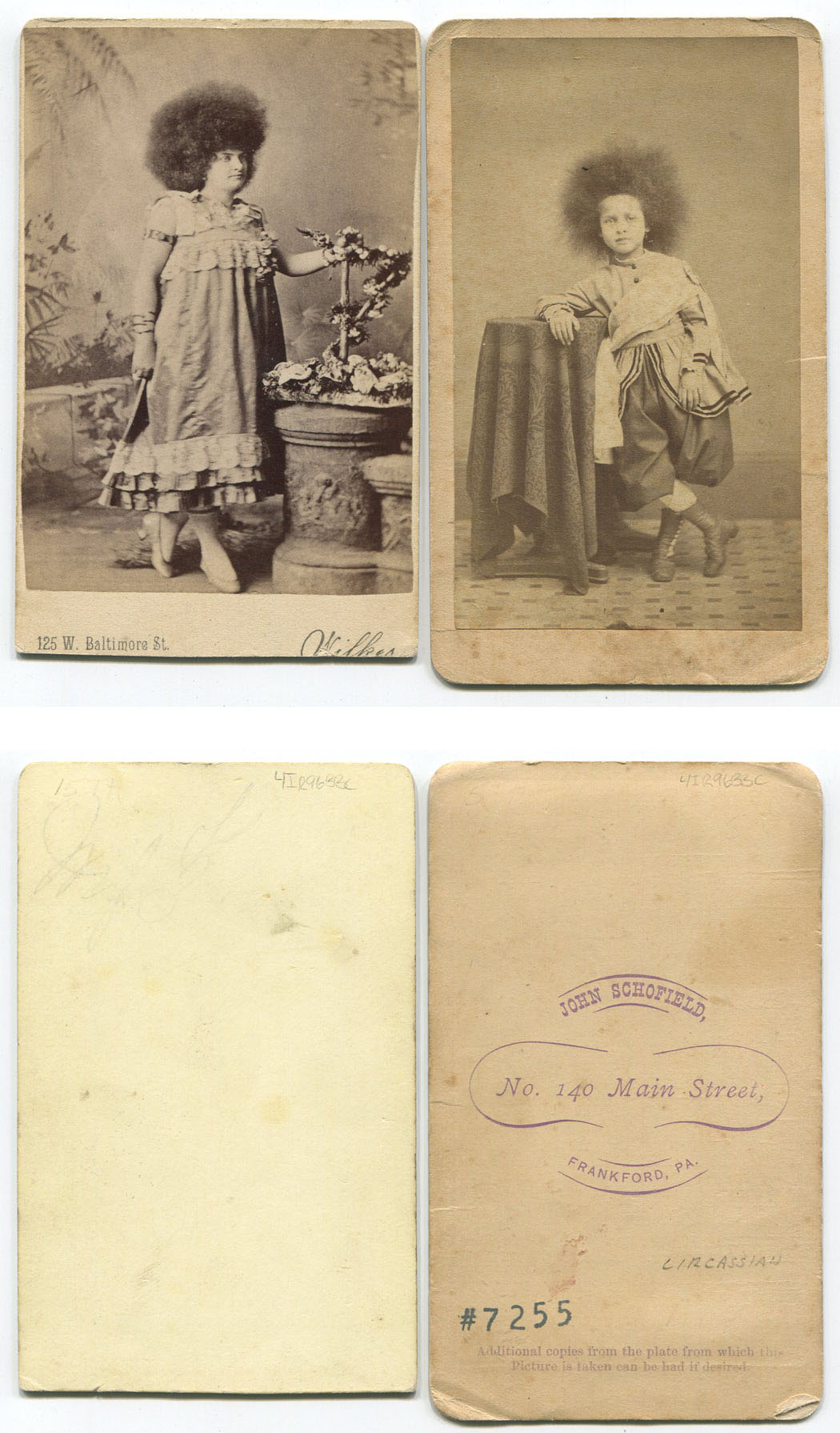 ins01293a.jpg