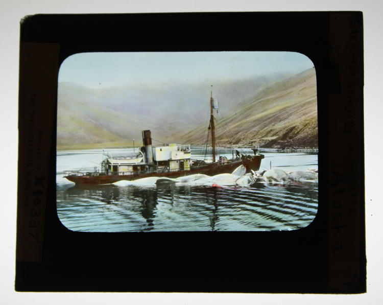 ins01483.jpg