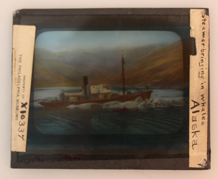 ins01483a.jpg