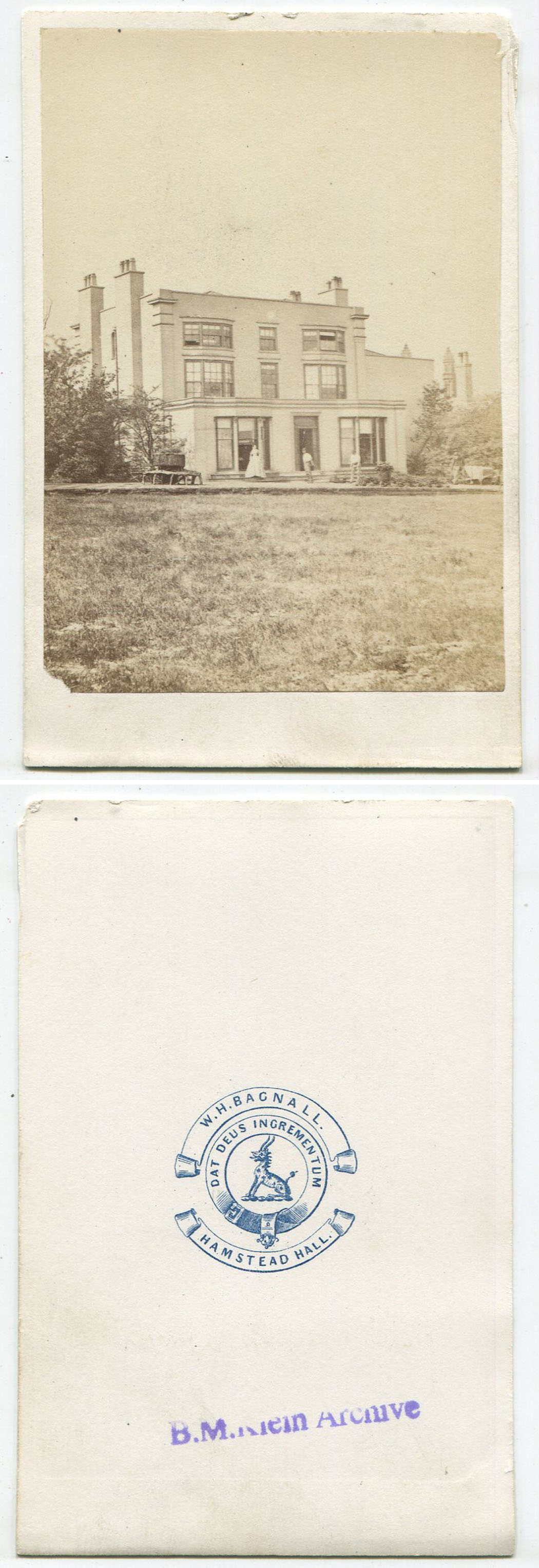 ins01545a.jpg