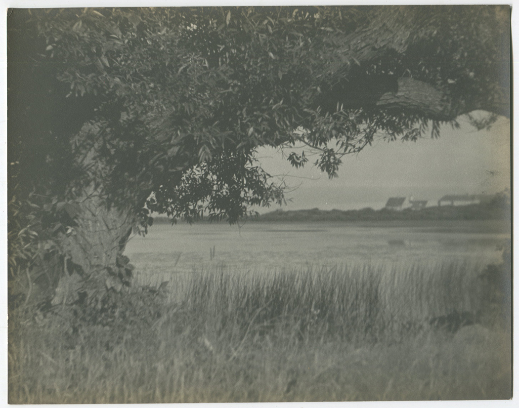 ins01825.jpg