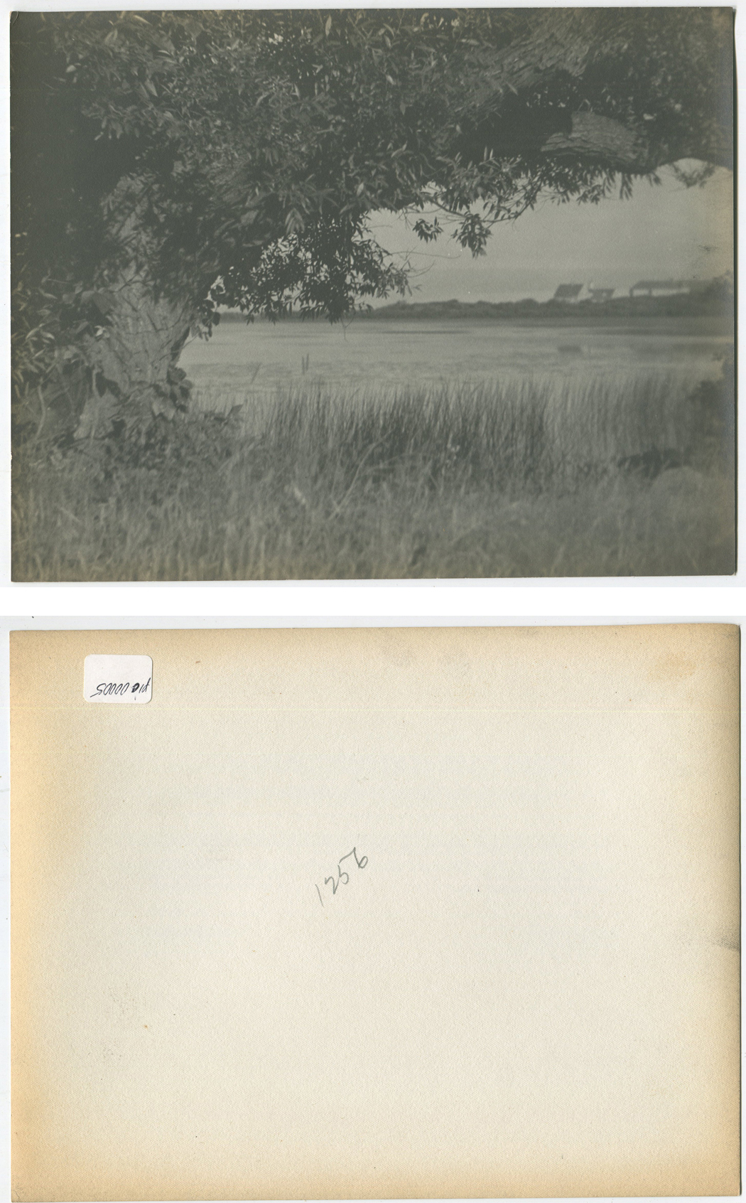 ins01825a.jpg