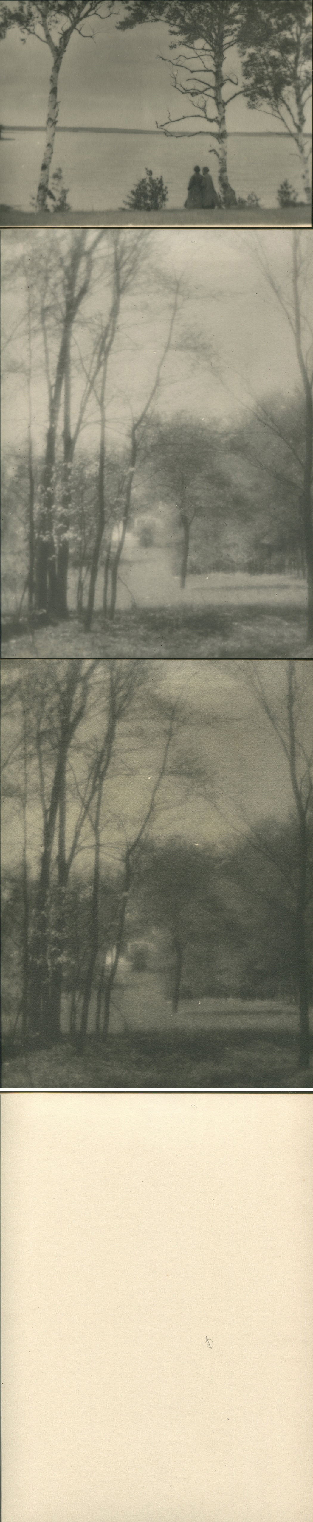 ins02288a.jpg