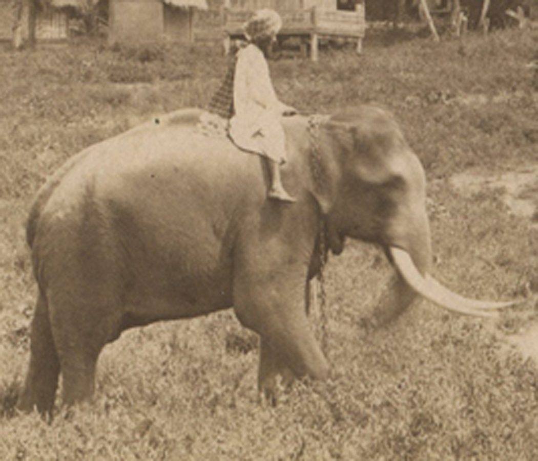ins02354.jpg