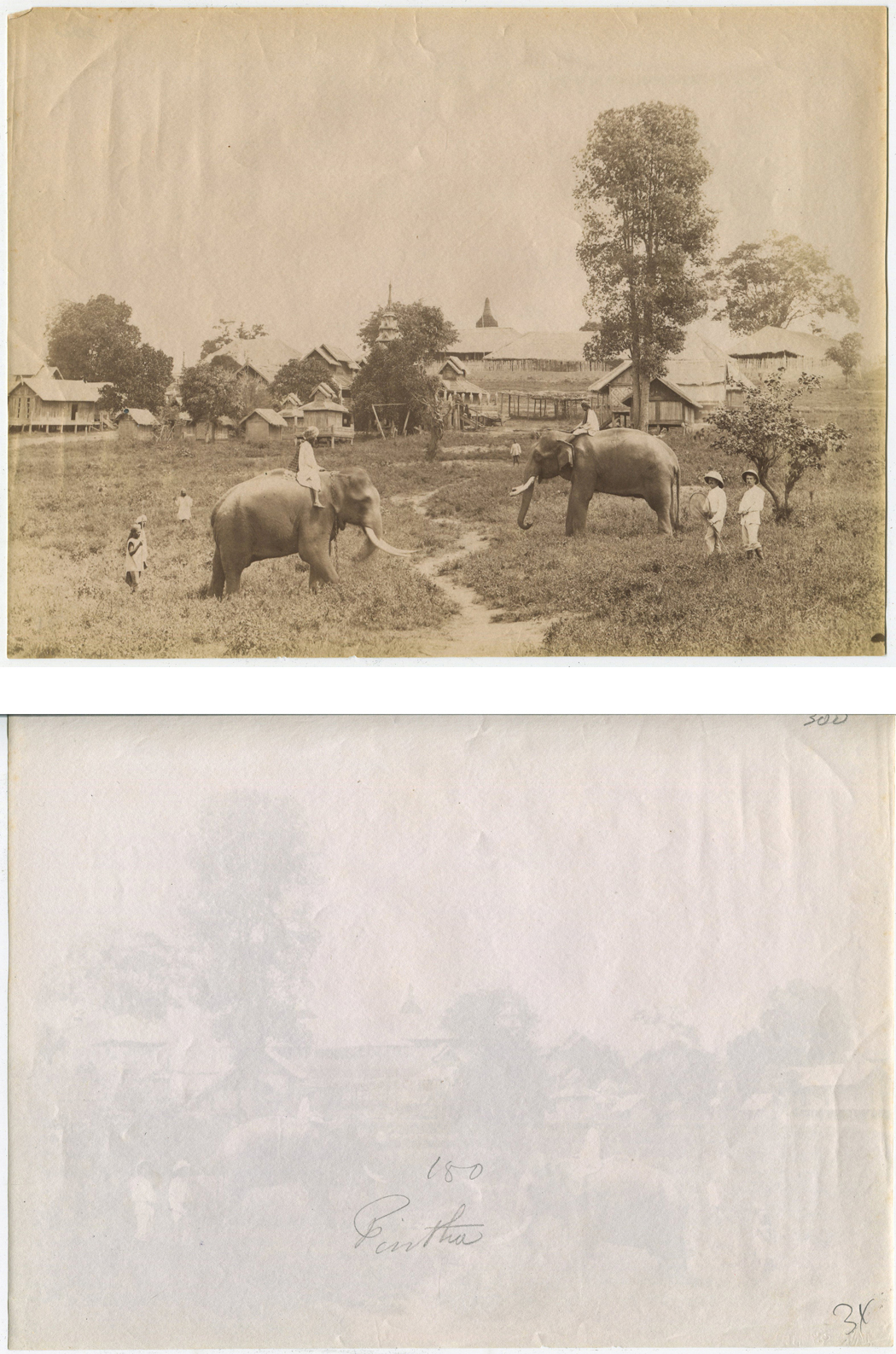 ins02354a.jpg