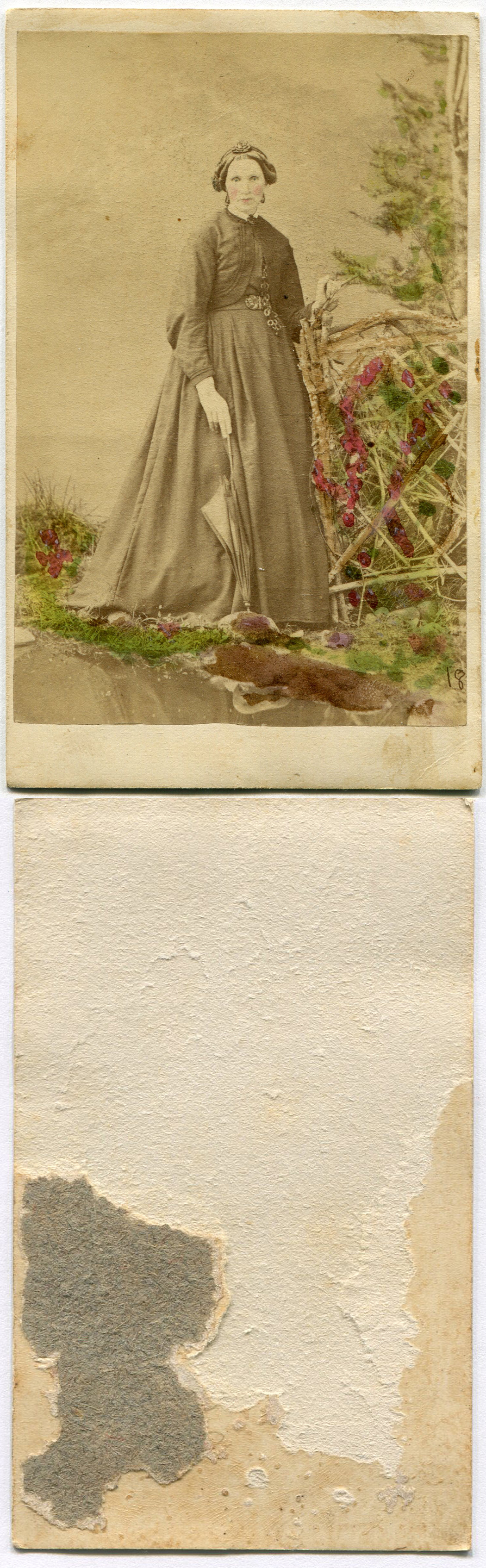 ins02906a.jpg