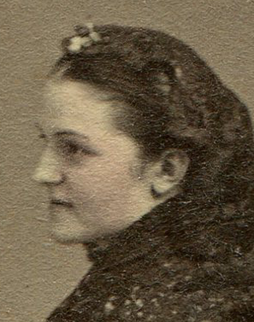 ins02961.jpg