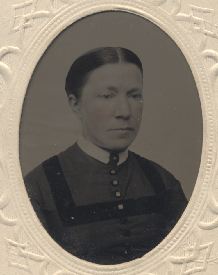 ins03526.jpg