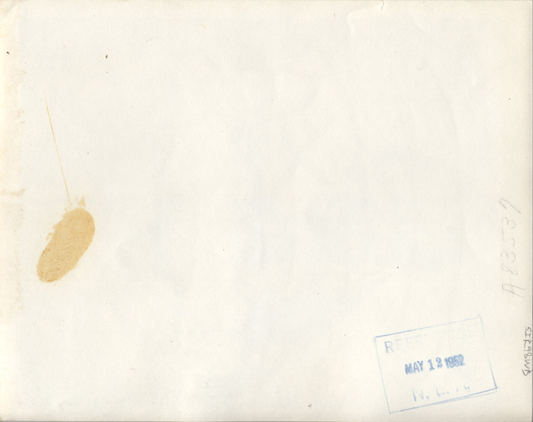 ins03933a.jpg