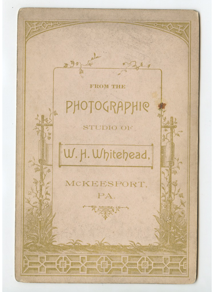 bji23886a.jpg