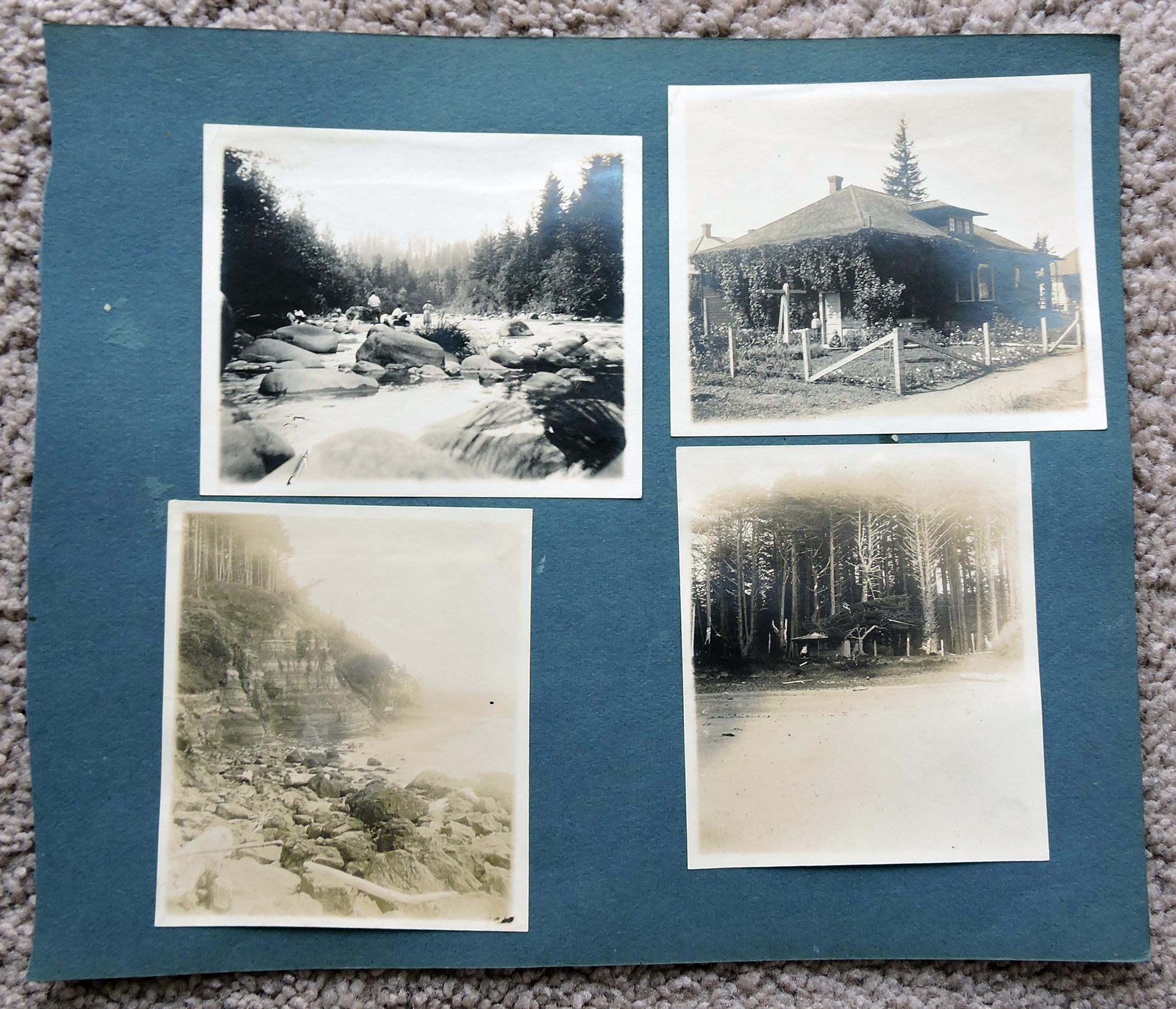 bji24188.jpg