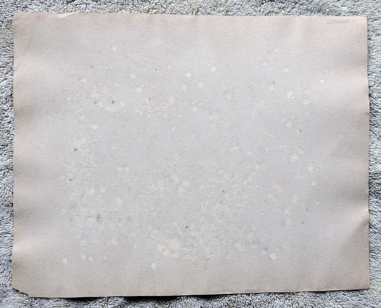 bji24761a.jpg