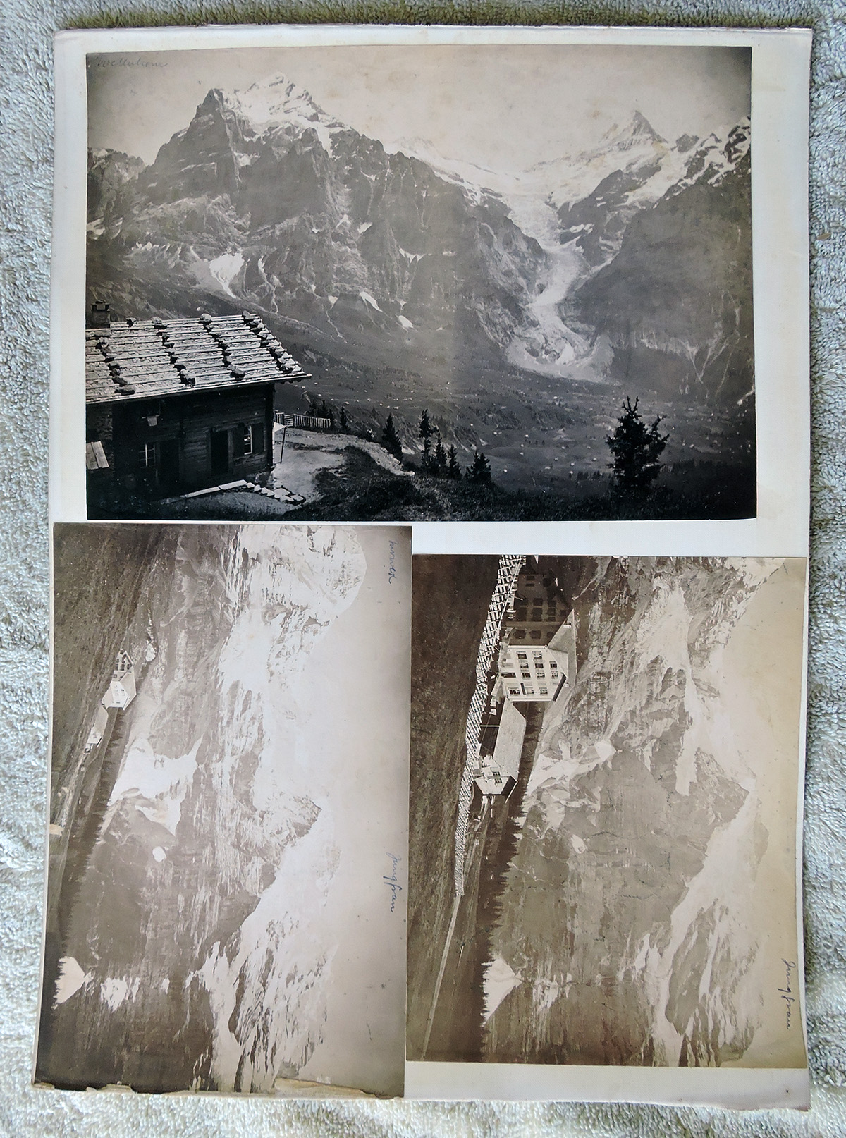 bji24817.jpg