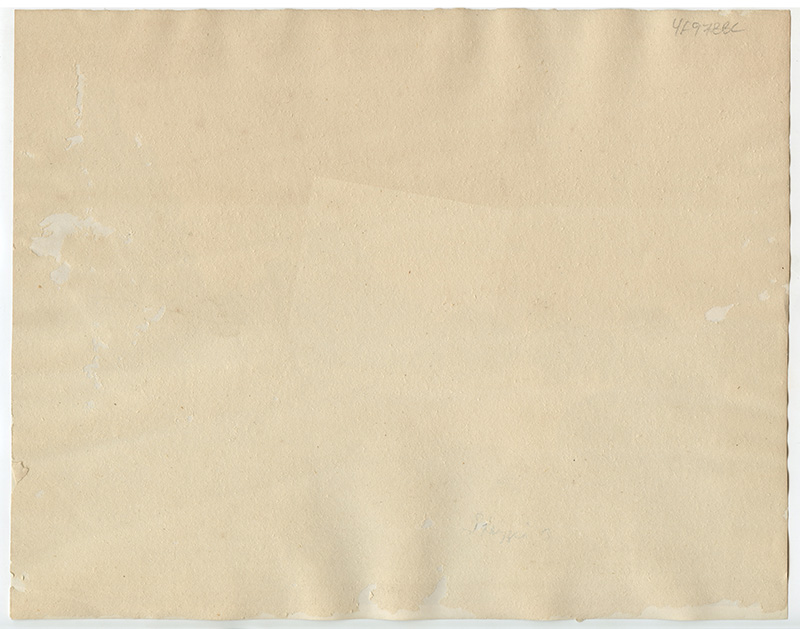 bji24878a.jpg