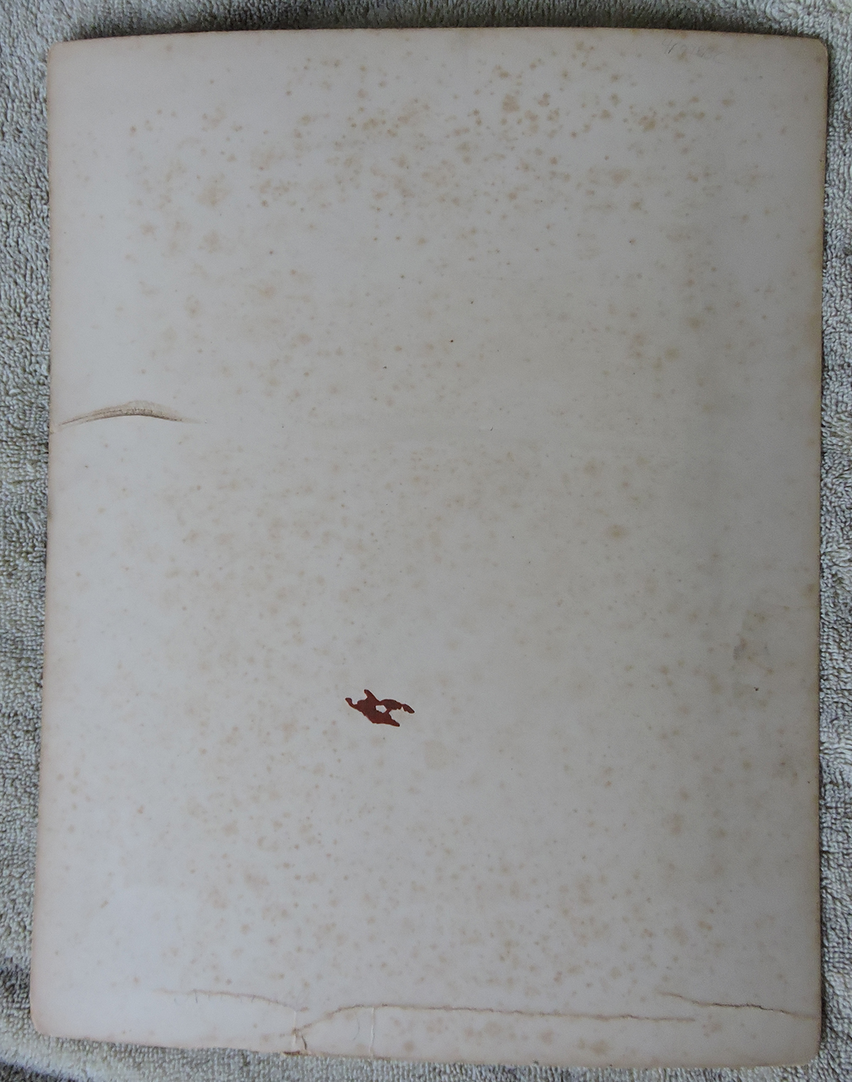 bji24955a.jpg