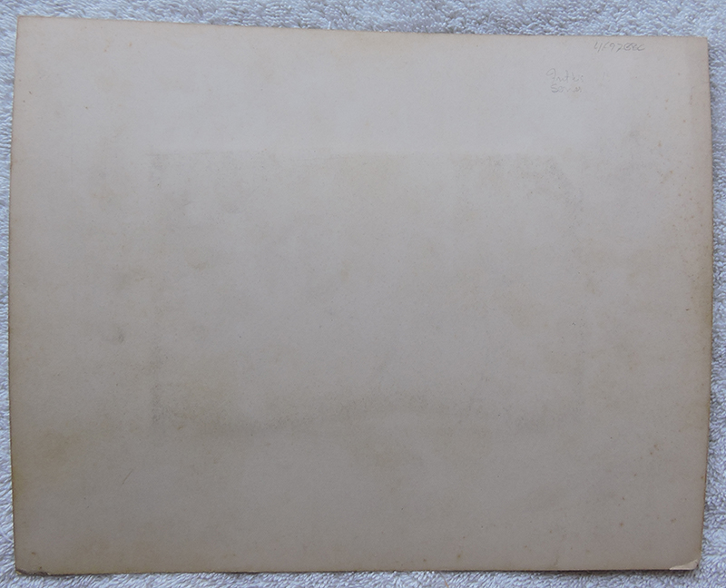 bji25072a.jpg