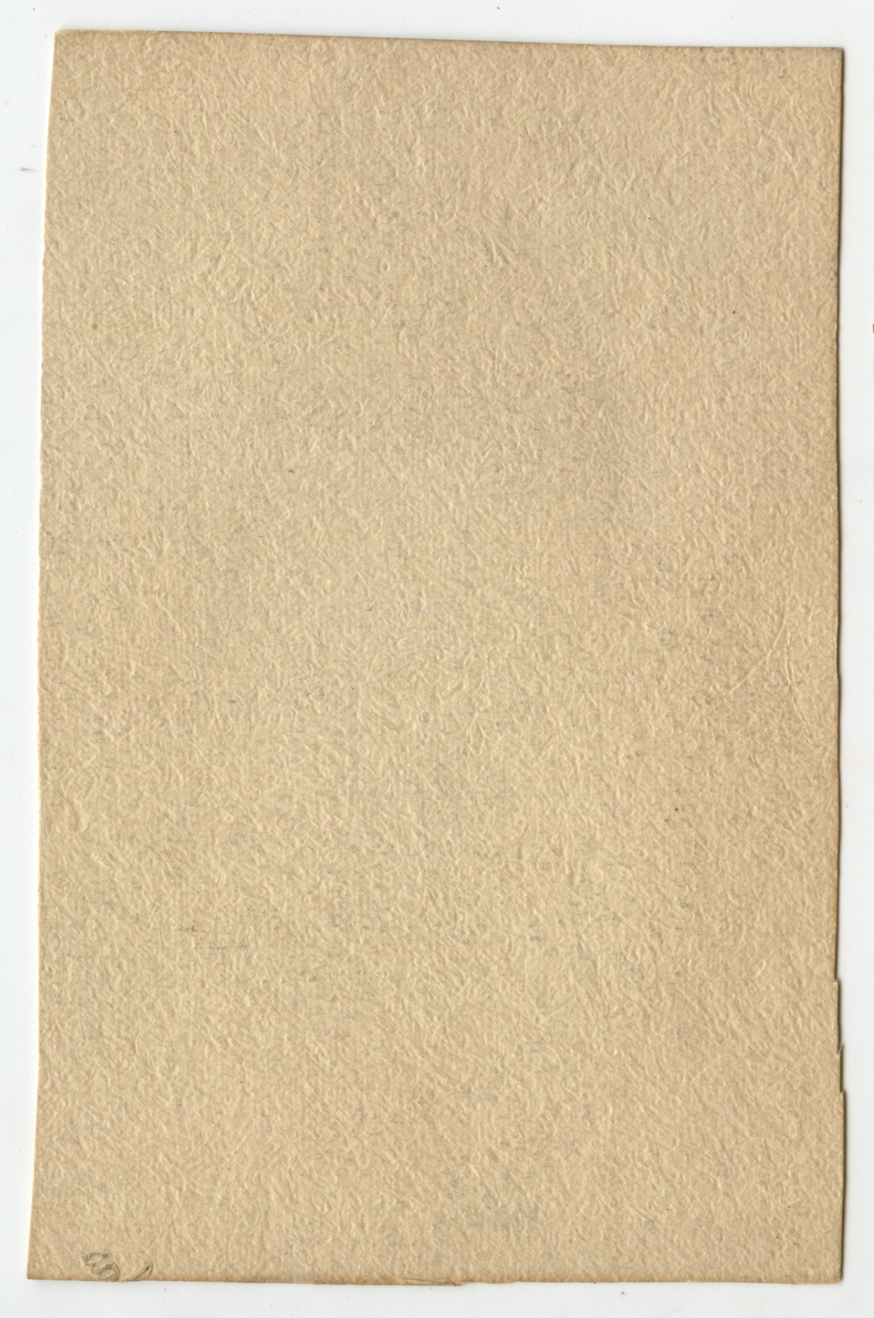 bji25647b.jpg
