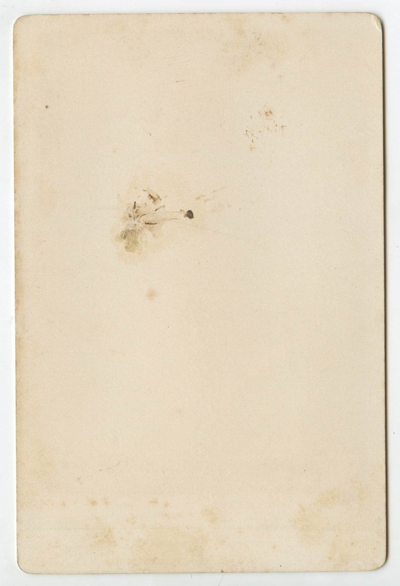 bji26184b.jpg