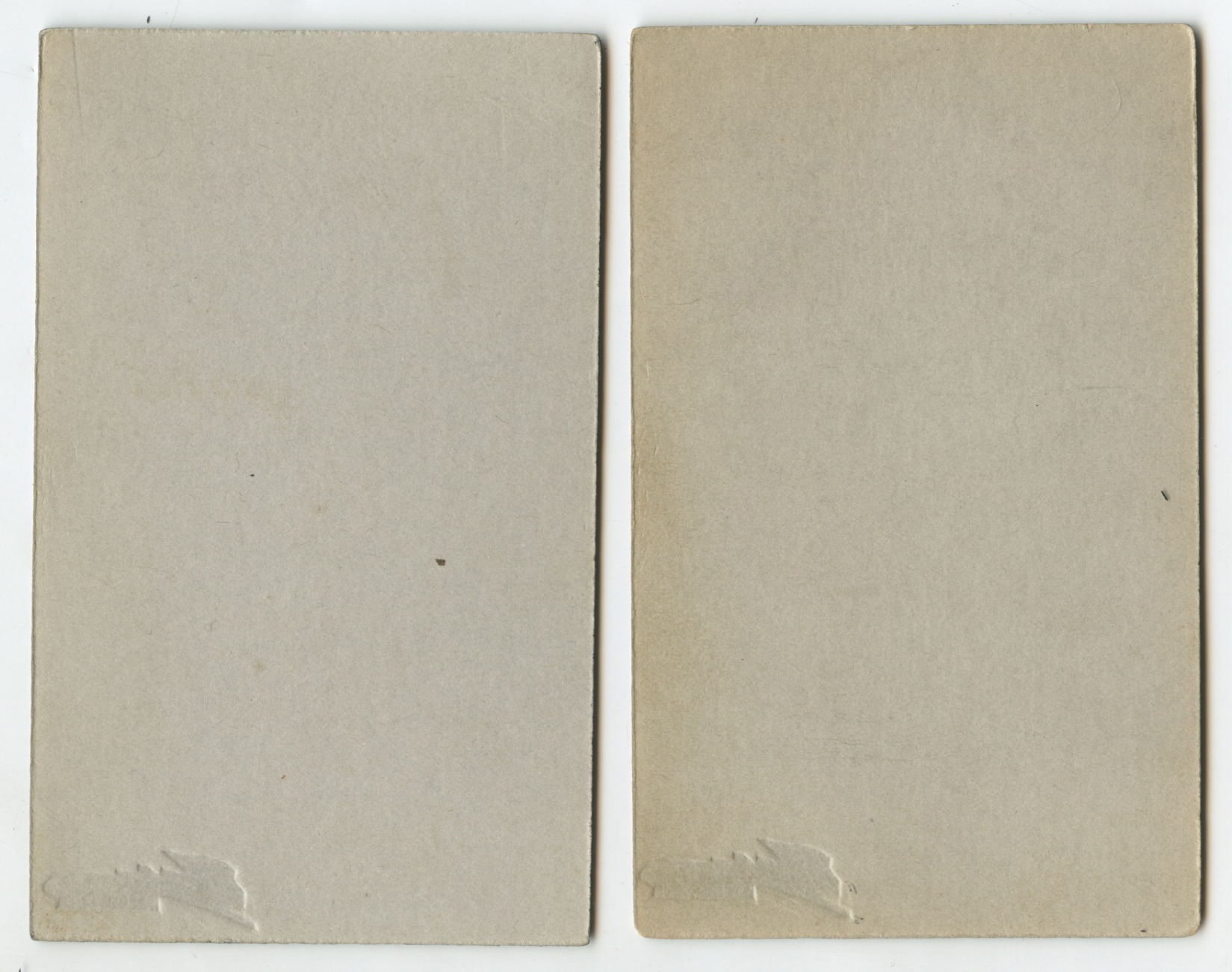 bji26291b.jpg