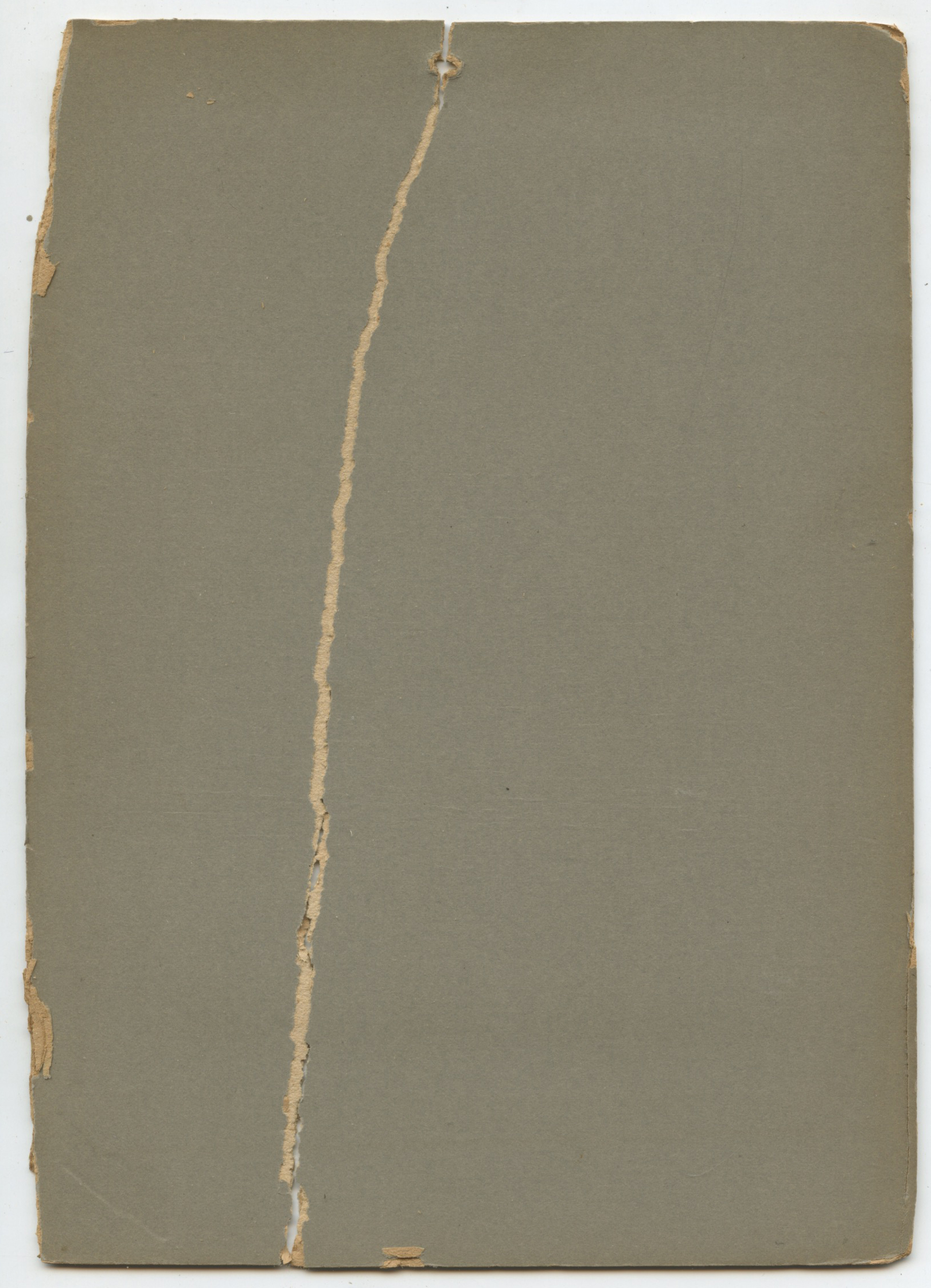 bji26884b.jpg