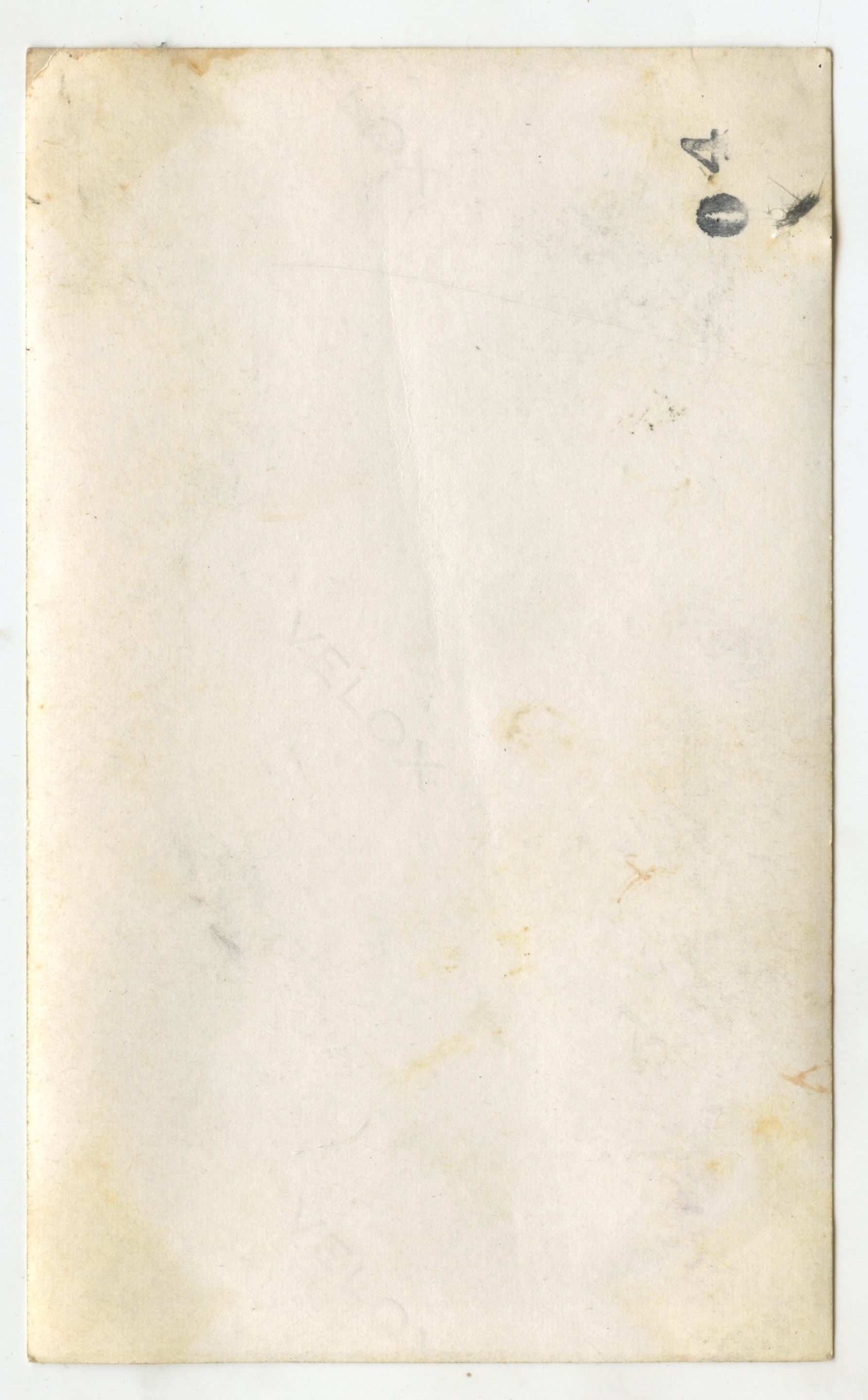 bji27854b.jpg