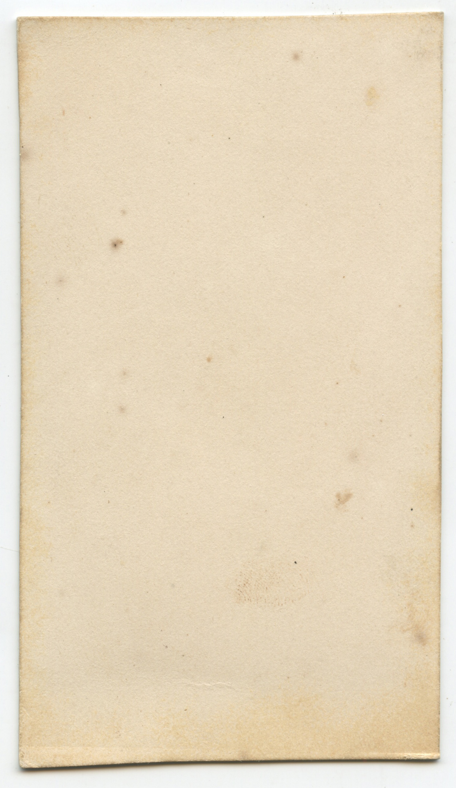 bji28498b.jpg