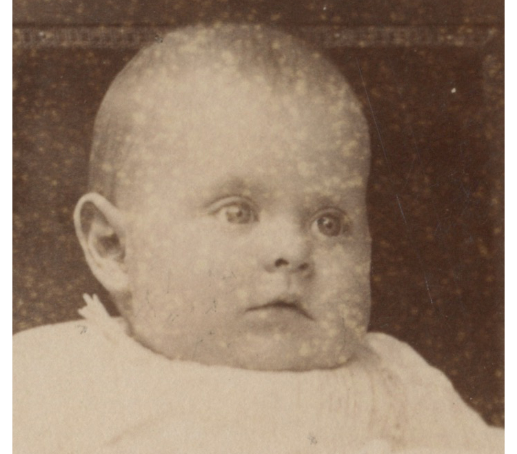bji28630.jpg
