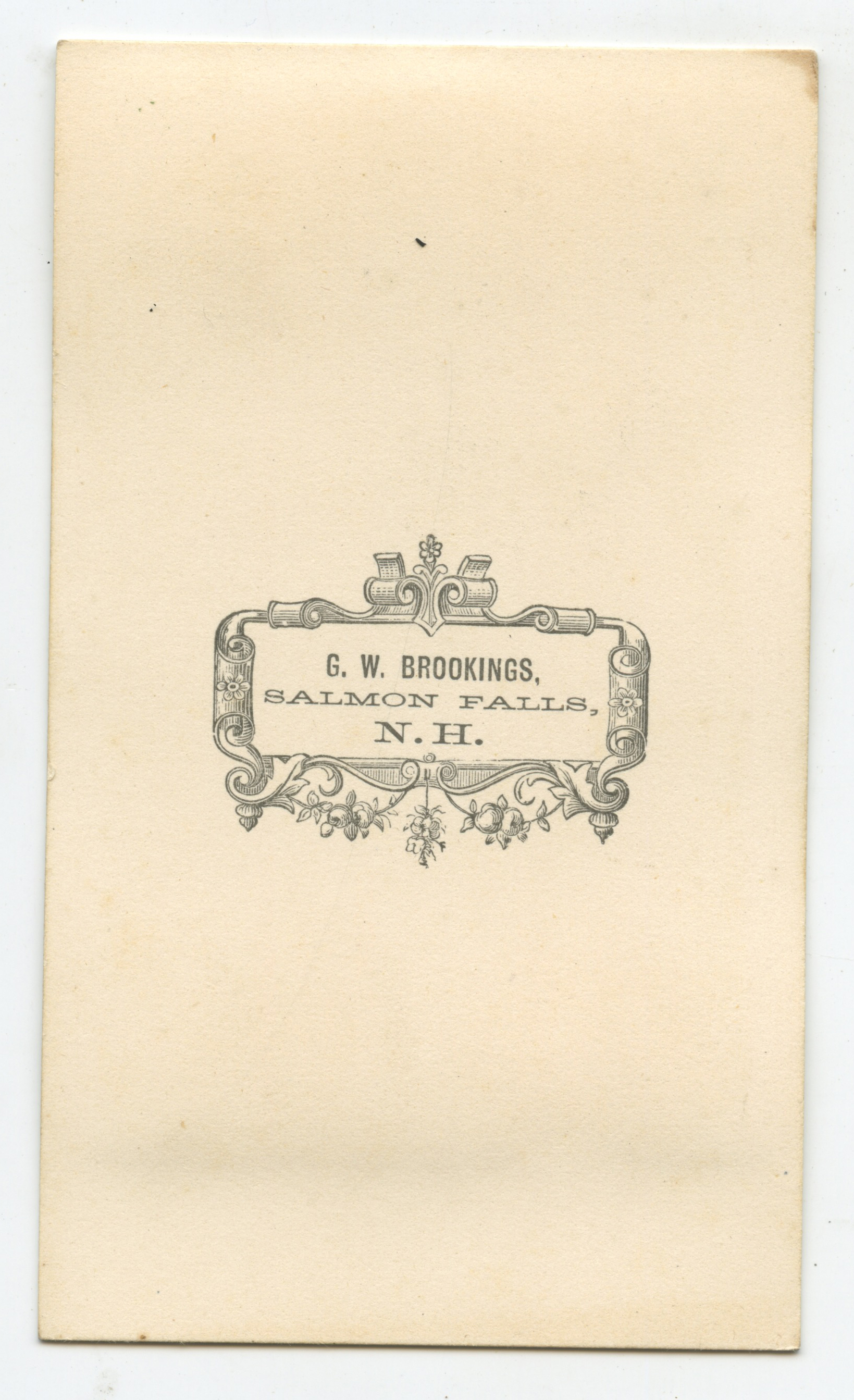 bji28738b.jpg