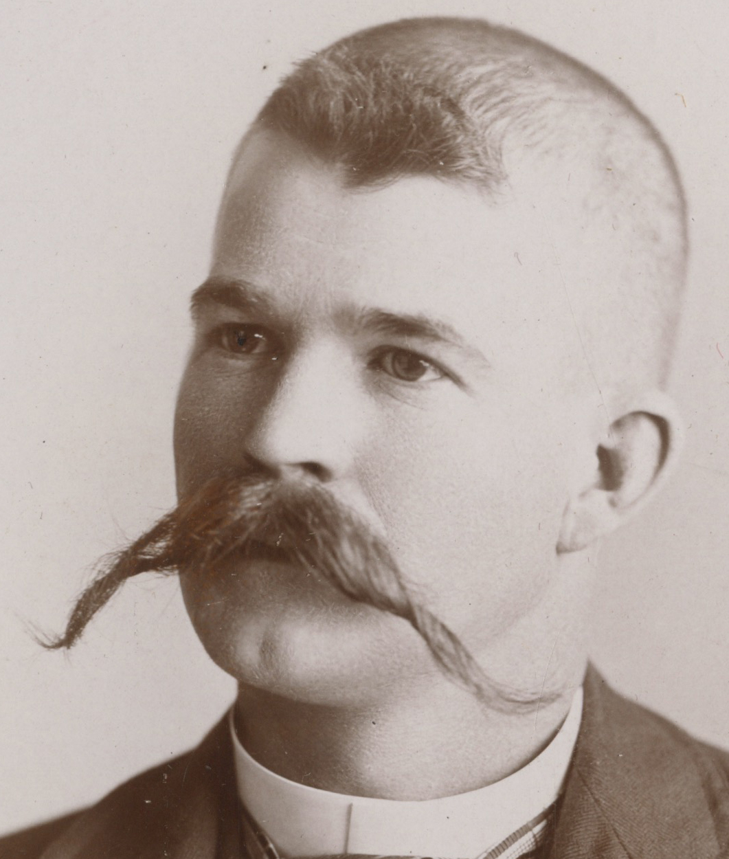 bji28786.jpg