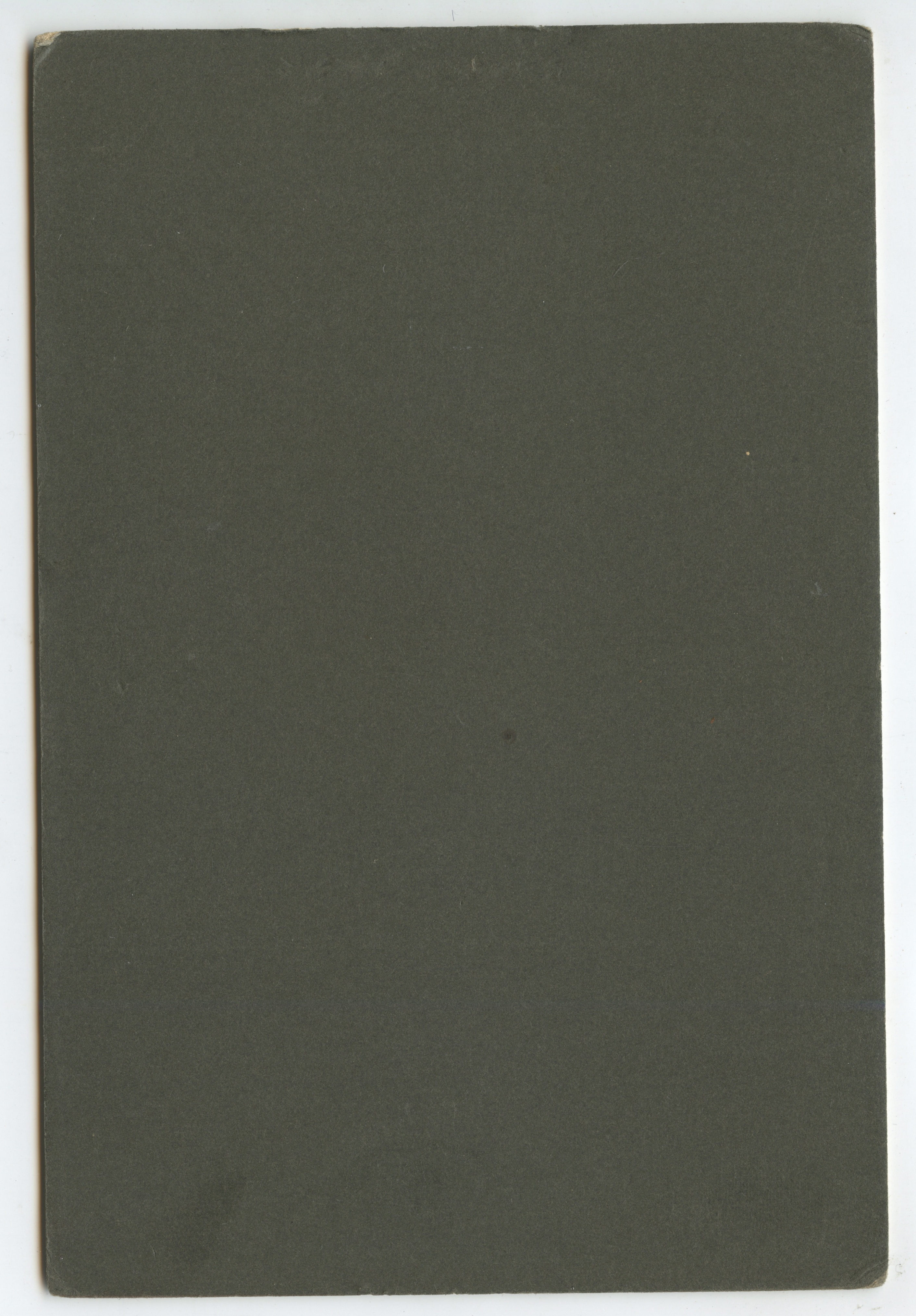 bji29043b.jpg