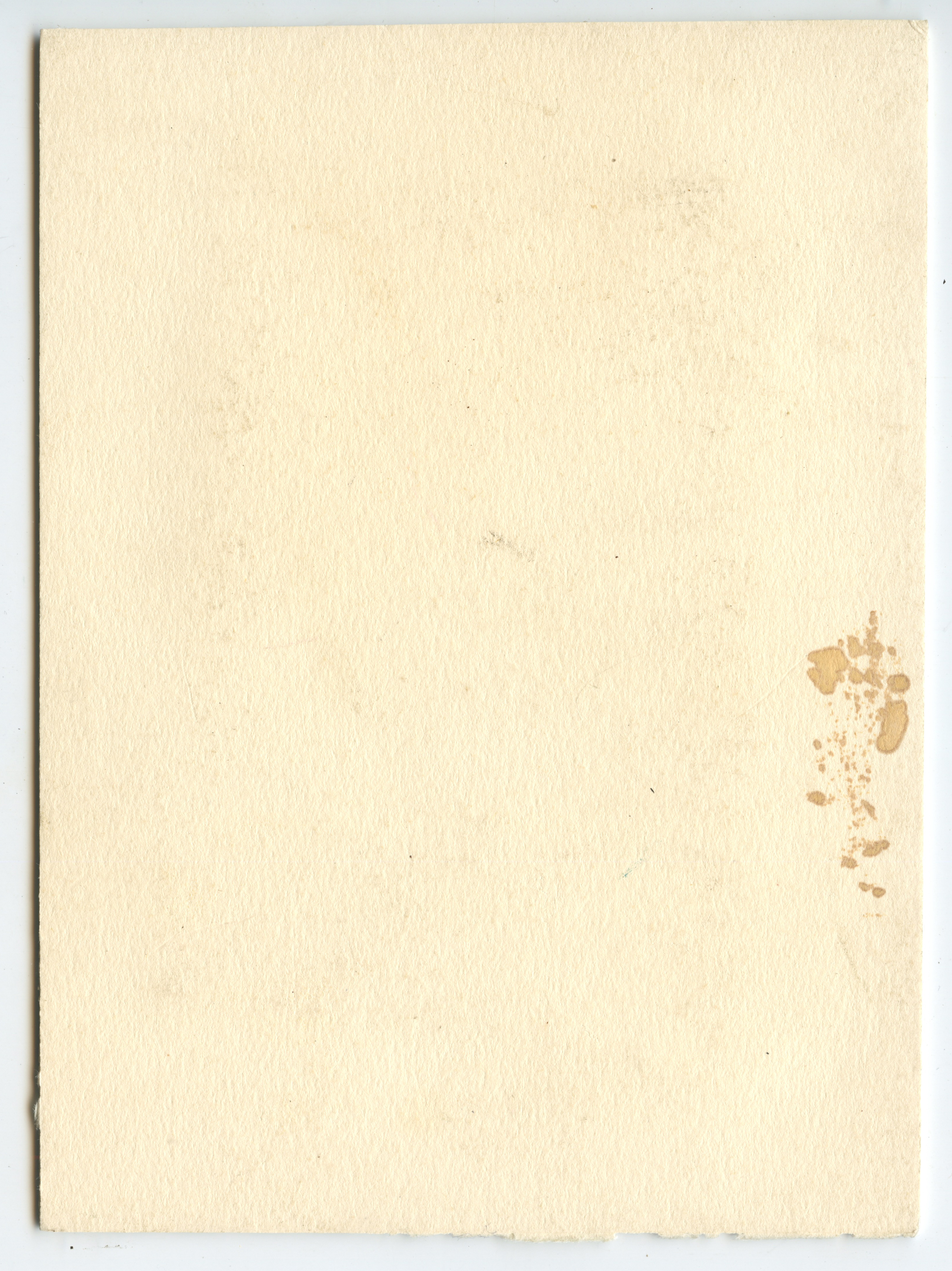 bji34633b.jpg