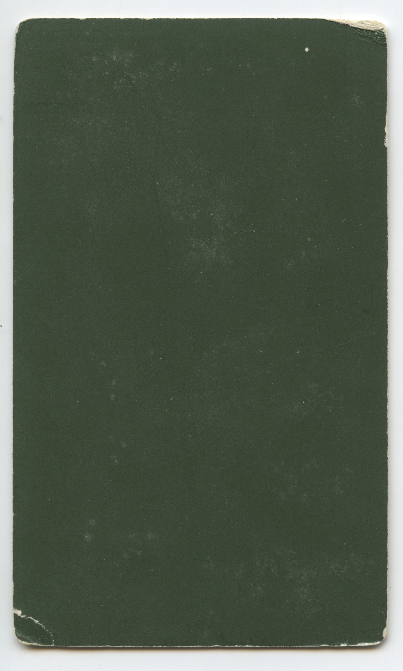 bji34778b.jpg
